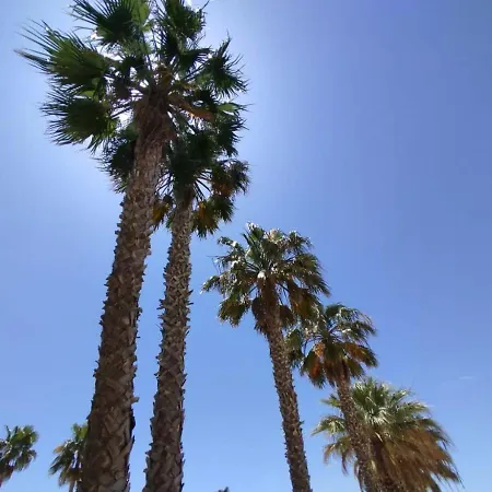 Lägenhet Sao Rafael Ocean View *